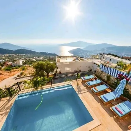 Orkide 1 * Kaş