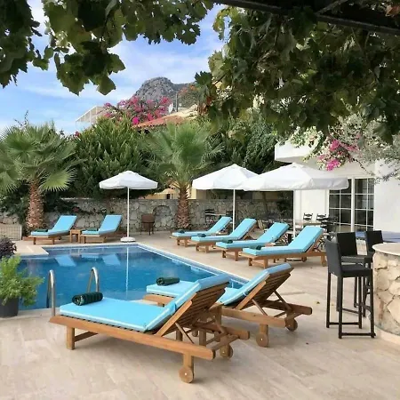 Orkide 1 Villa